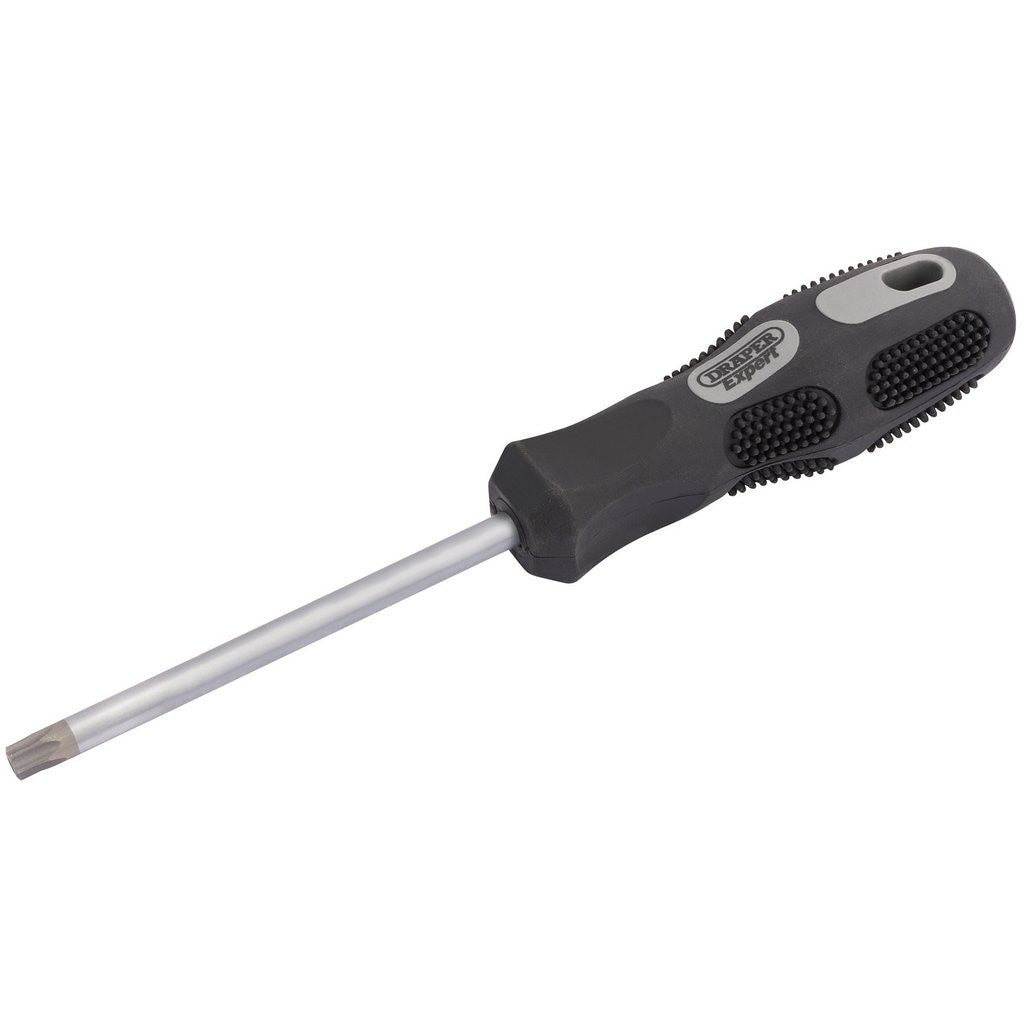 Draper Expert TX-STAR® Security Driver, T40T x 100mm 10868