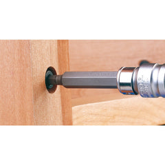 Draper Expert TX-STAR® Hex. & Spline Mechanics Bit Set, 3/8, 1/2" Sq. Dr. (40 Piece) 33322