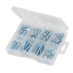 Fixman Cap Screws & Nuts Pack 520988