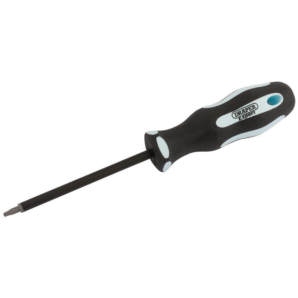 Draper Expert Square Recess Soft Grip Security Screwdriver, S1 x 100mm 75365