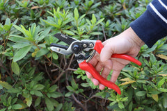 Hilka Deluxe Heavy Duty Anvil Secateurs 92105408