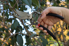 Hilka Traditional Heavy Duty Bypass Secateurs 92105555