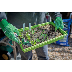 Draper Heritage Stainless Steel Transplanting Trowel with Ash Handle 99022
