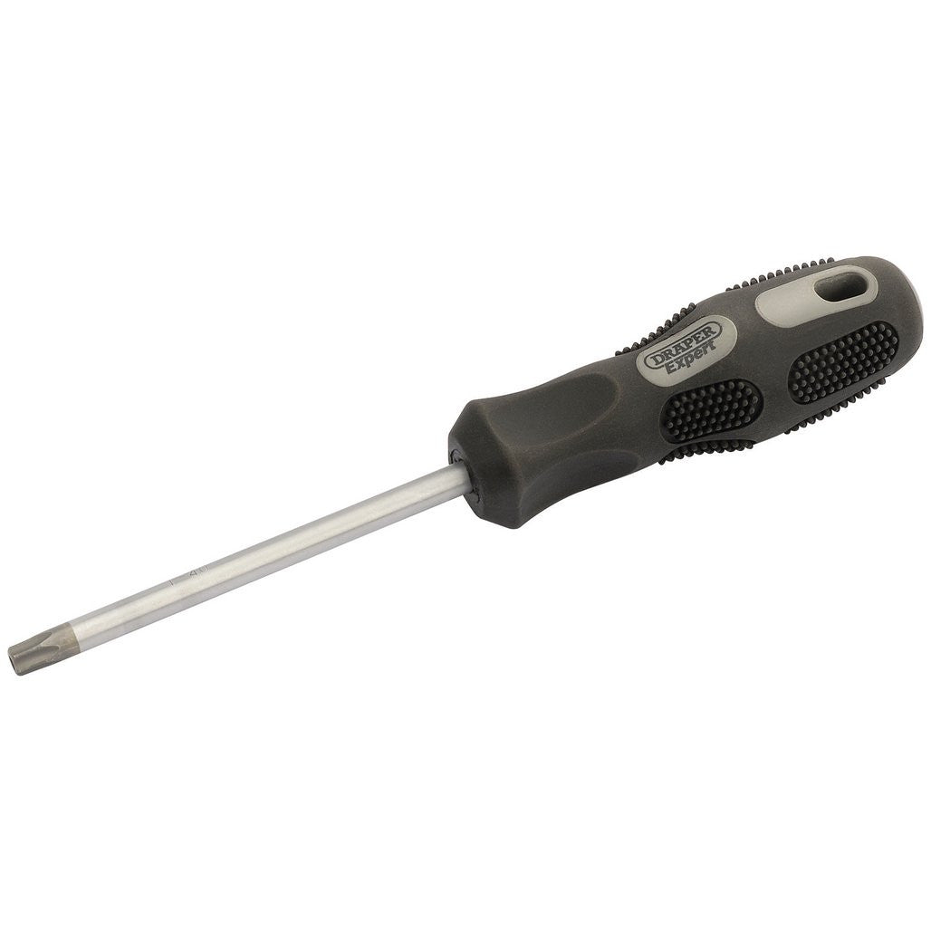 Draper Expert TX-STAR® Security Driver, T40T x 100mm  10868