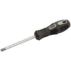 Draper Expert TX-STAR® Security Driver, T40T x 100mm  10868