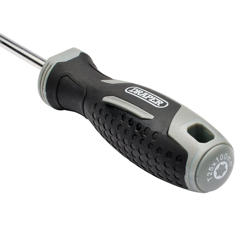 Draper TX-STAR® Soft Grip Screwdriver, T25 x 100mm  13403