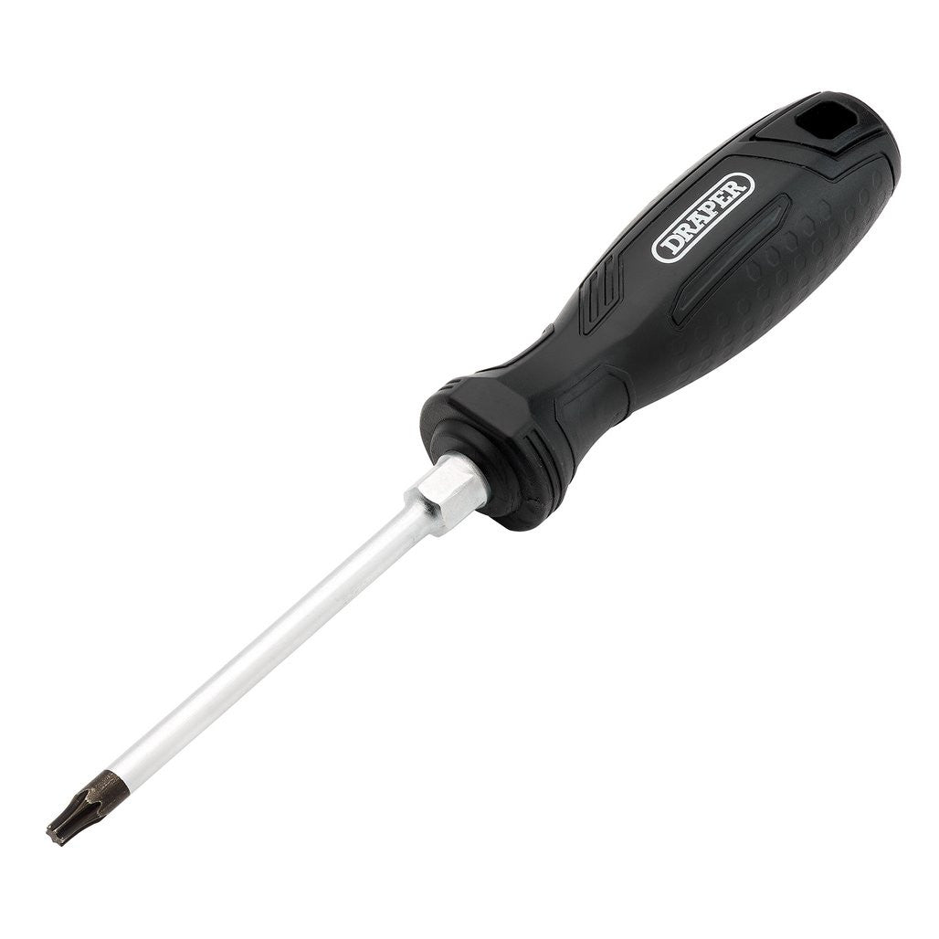 Draper TX-STAR® Hard Grip Screwdriver, T25 x 100mm  13565