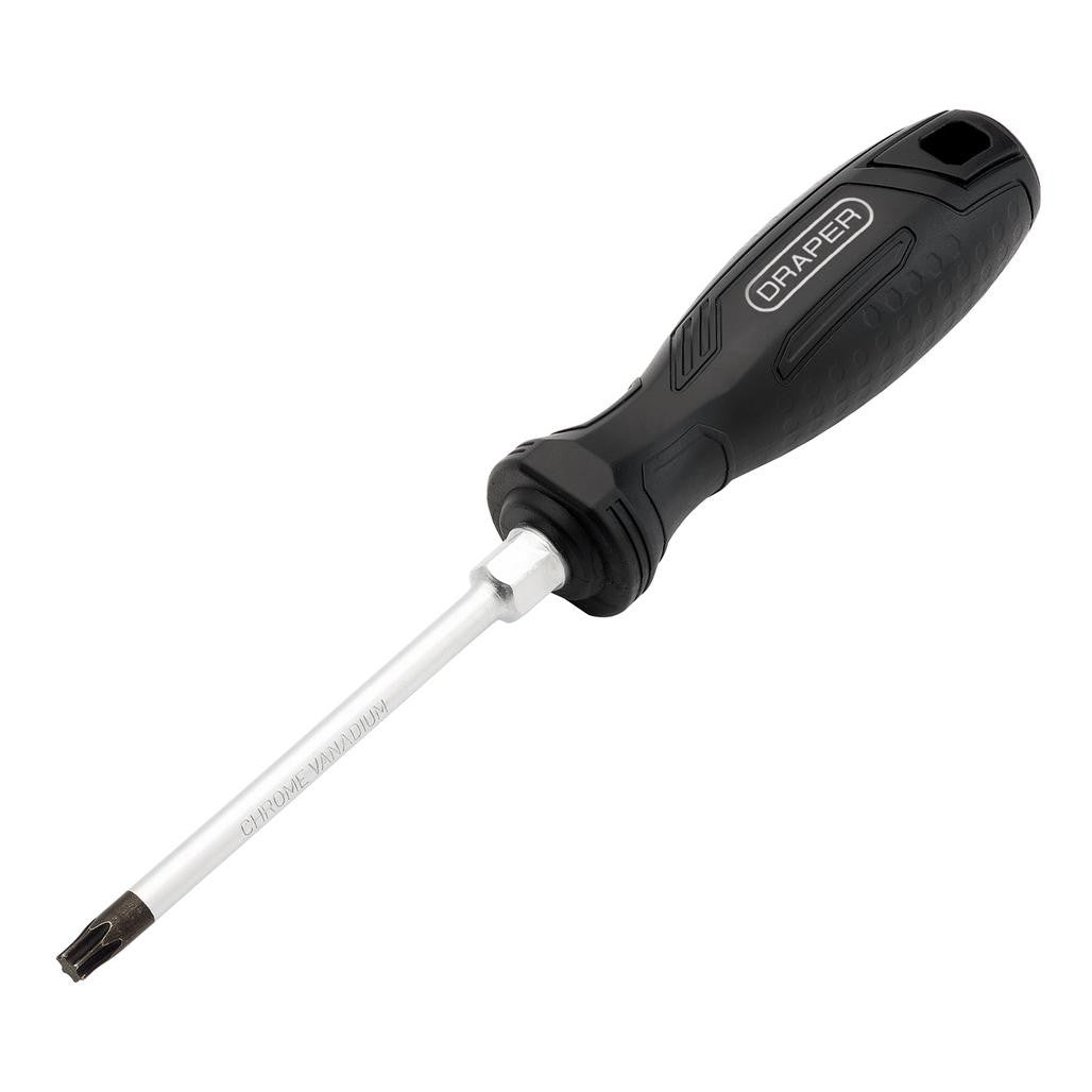 Draper TX-STAR® Hard Grip Screwdriver, T30 x 100mm  13567