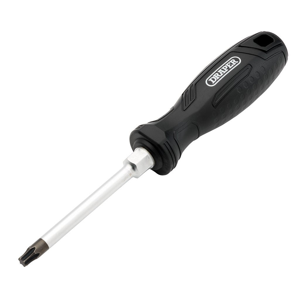 Draper TX-STAR® Hard Grip Screwdriver, T40 x 100mm  13568
