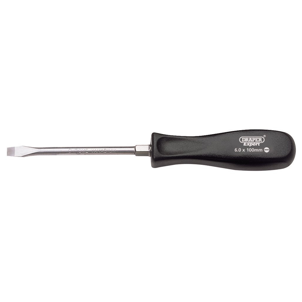 Draper Expert Plain Slot Mechanics Screwdriver, 6 x 100mm  19529