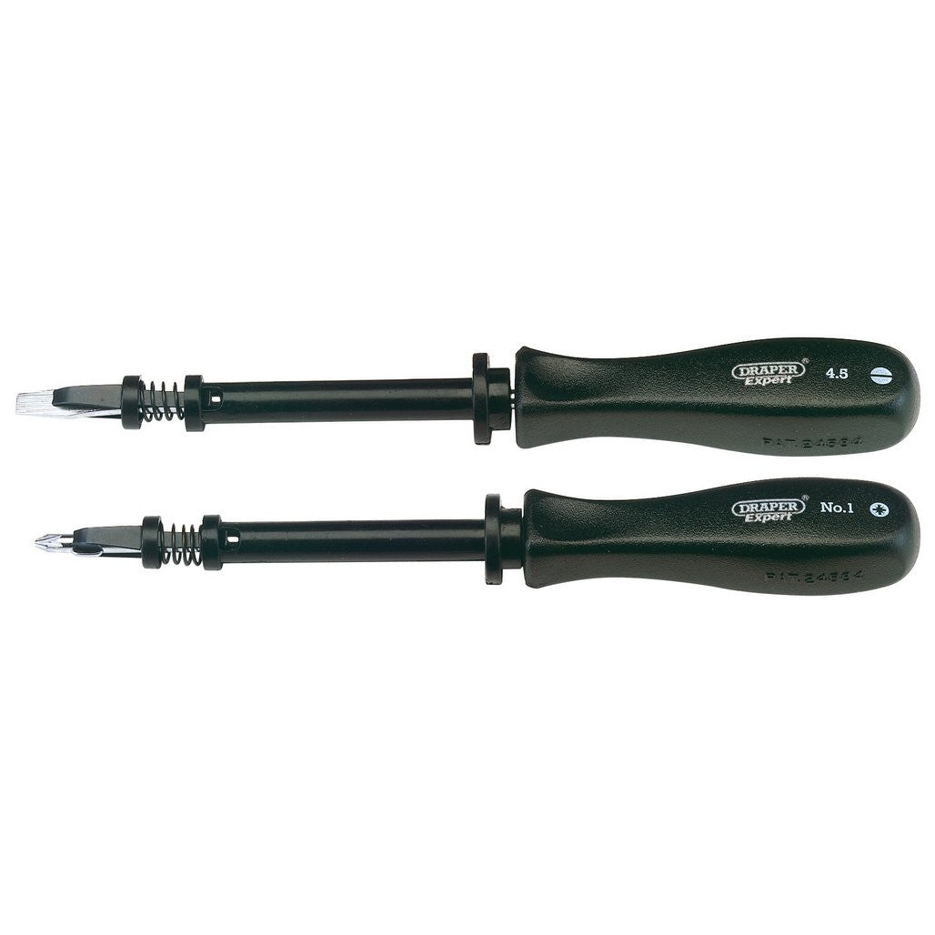 Draper Expert Screw Holding Mechanics Screwdriver Set (2 Piece)  27591