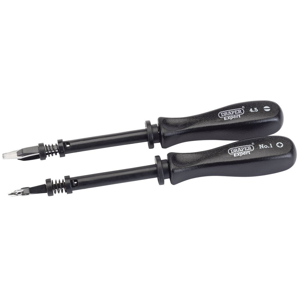 Draper Expert Screw Holding Mechanics Screwdriver Set (2 Piece)  27591