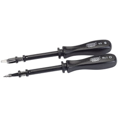 Draper Expert Screw Holding Mechanics Screwdriver Set (2 Piece)  27591