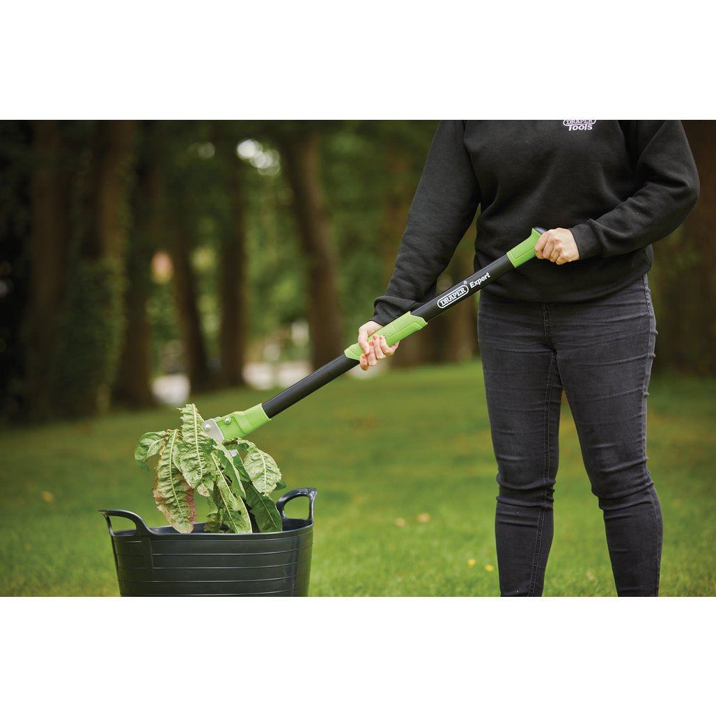 Draper Expert Long Handled Weed Puller  37796