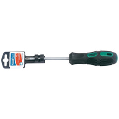 Draper Expert PZ Type General Purpose Screwdriver, No.2 x 100mm  40038