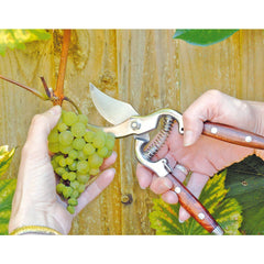 Draper Bypass Pattern Secateurs with Wooden Handles, 210mm  45317