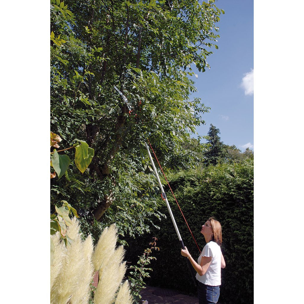 Draper Expert Tree Pruner with Telescopic Handle, 32mm Diameter  45334