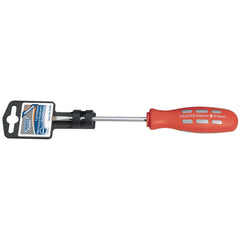 Draper Expert Plain Slot Parallel Tip Mechanics Screwdriver, 5 x 100mm  55495