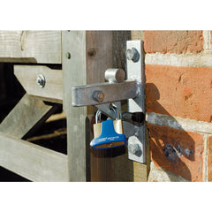 Draper Solid Brass Padlock and 2 Keys with Hardened Steel Shackle and Bumper, 42mm