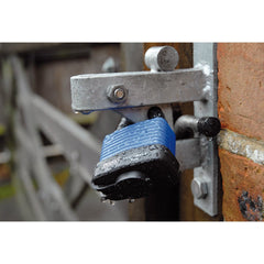 Draper Laminated Steel Padlock and 2 Keys with Hardened Steel Shackle and Bumper, 54mm  64178