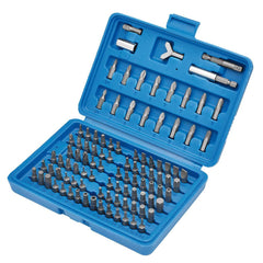 Draper Screwdriver Bit Set (100 Piece)  72055