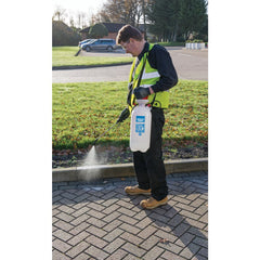 Draper Expert EPDM Pump Sprayer, 10L  82460