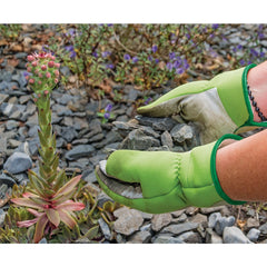 Draper Draper Expert Medium Duty Gardening Gloves, M 82620