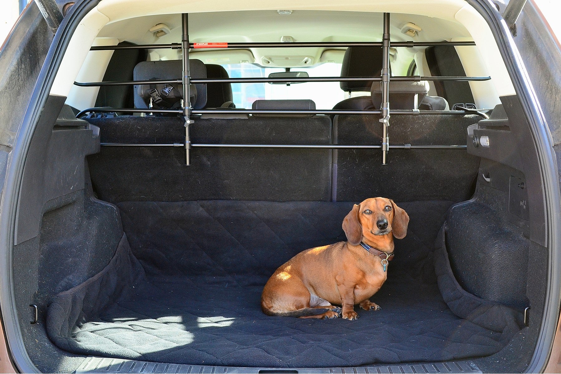 Hilka Universal Dog Guard 83270533