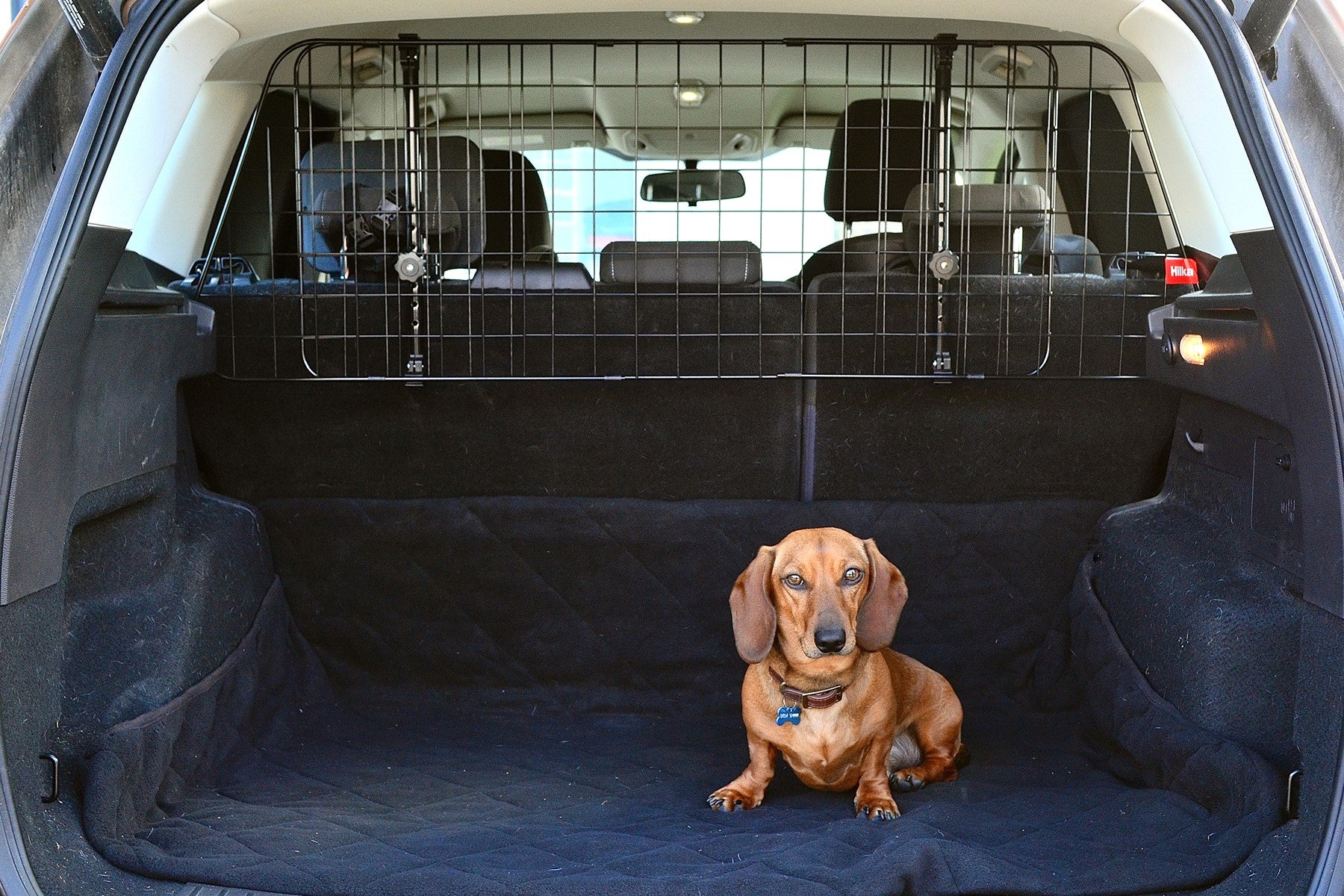 Hilka Heavy Duty Dog Guard 83270536