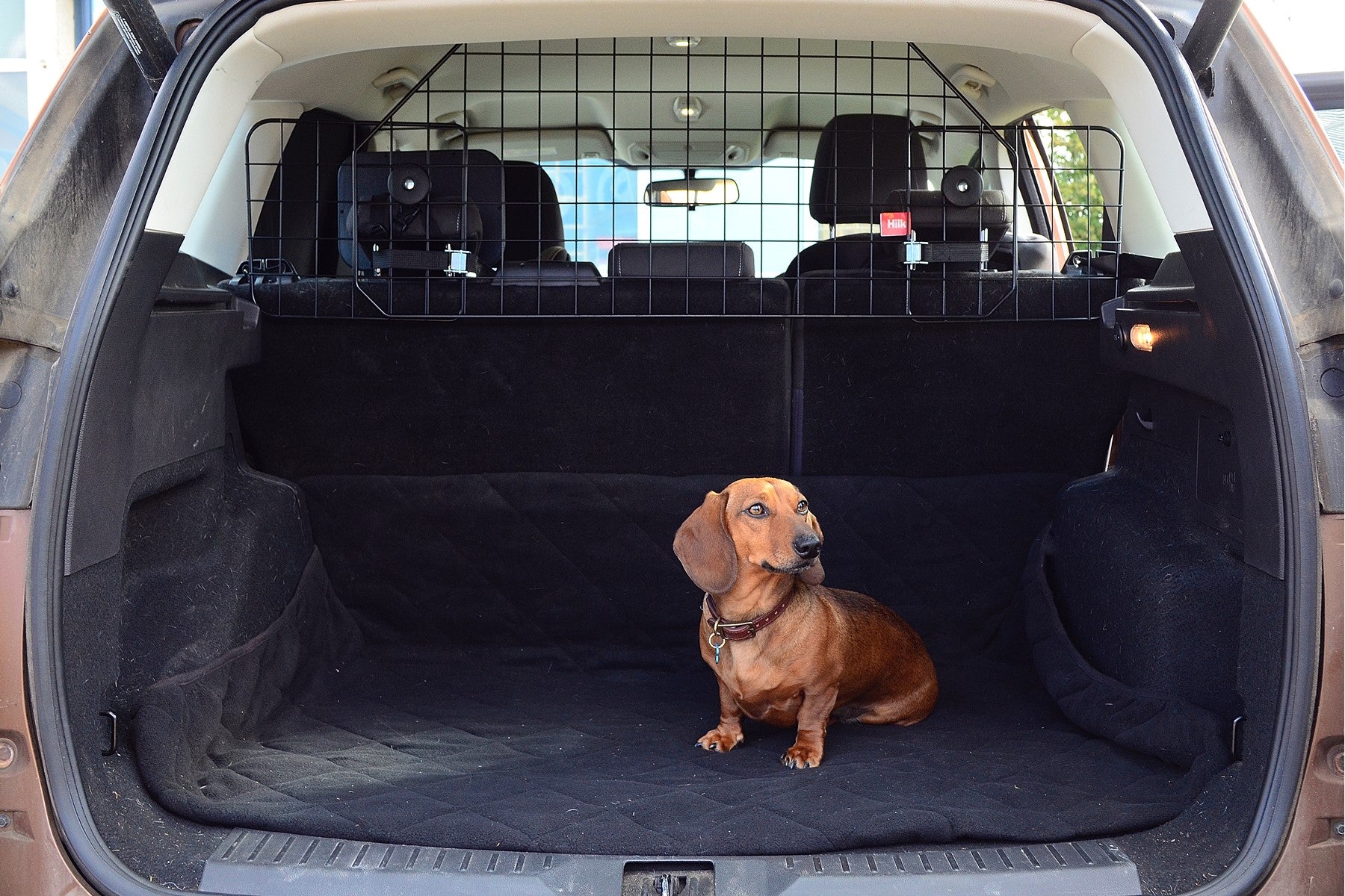 Hilka Universal Mesh Headrest Dog Guard 83270539
