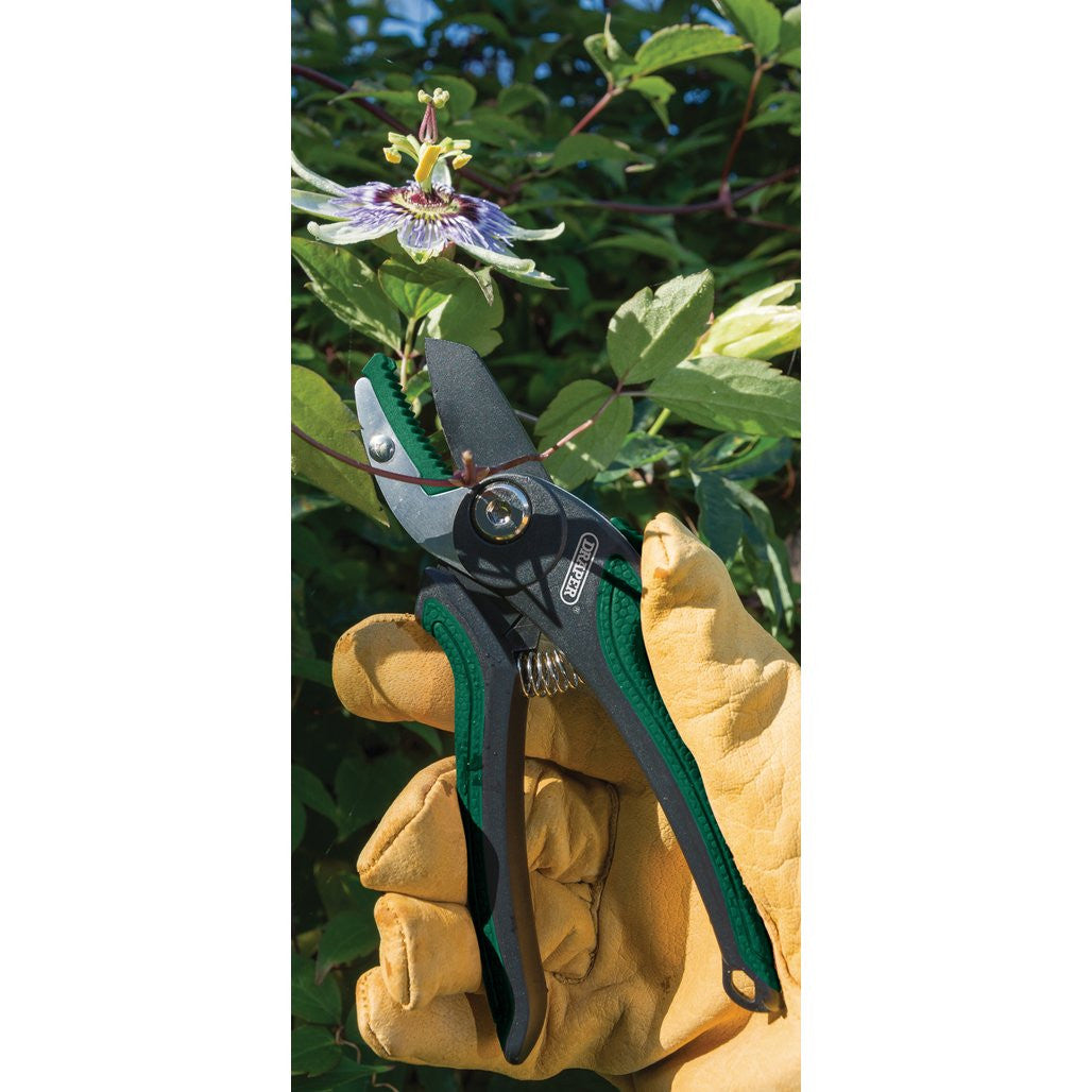 Draper Anvil Pattern Secateurs, 175mm  83970
