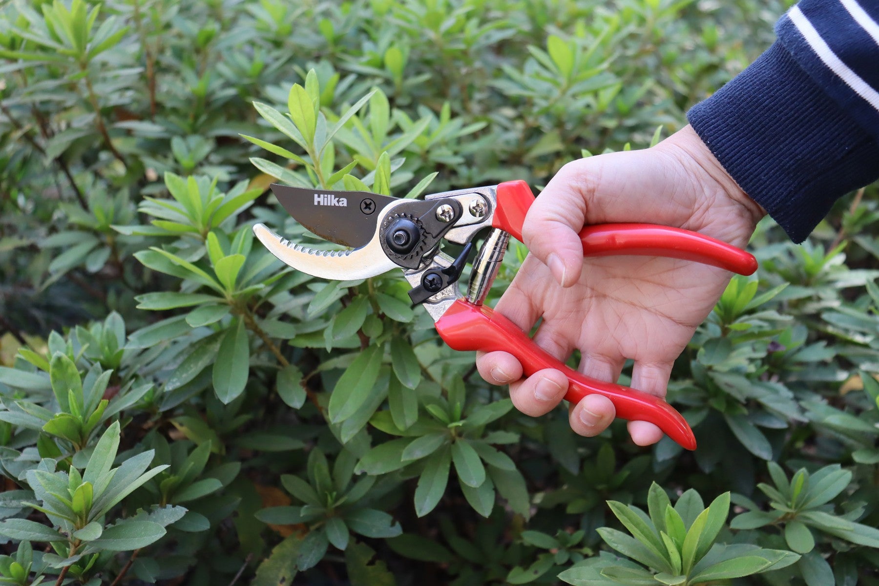 Hilka Deluxe Heavy Duty Bypass Secateurs 92105405