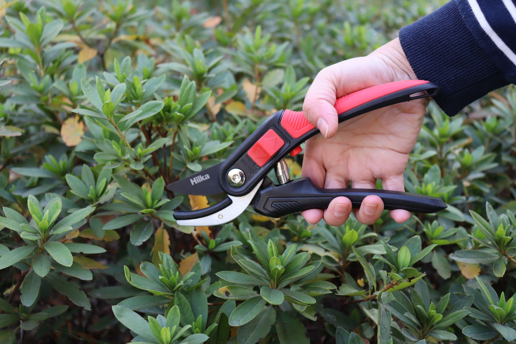 Hilka Professional Anvil Secateurs 92105508
