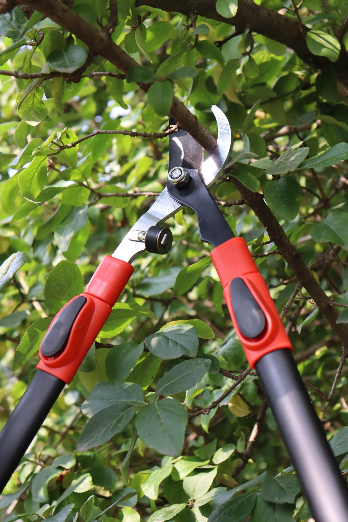 Hilka Heavy Duty Telescopic Bypass Loppers 92105603