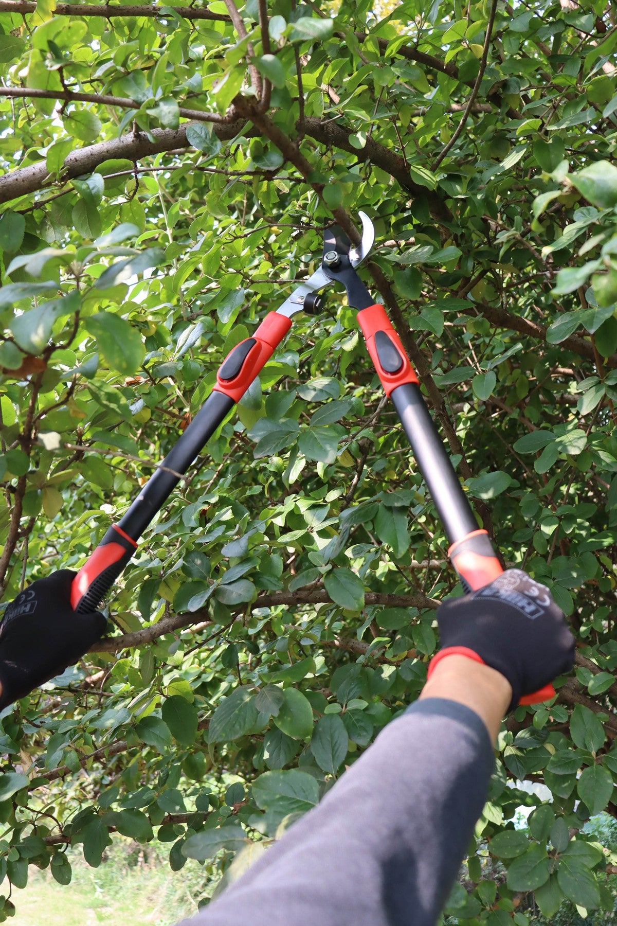 Hilka Heavy Duty Telescopic Bypass Loppers 92105603