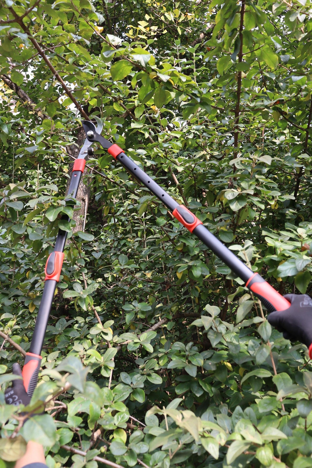 Hilka Heavy Duty Telescopic Bypass Loppers 92105603