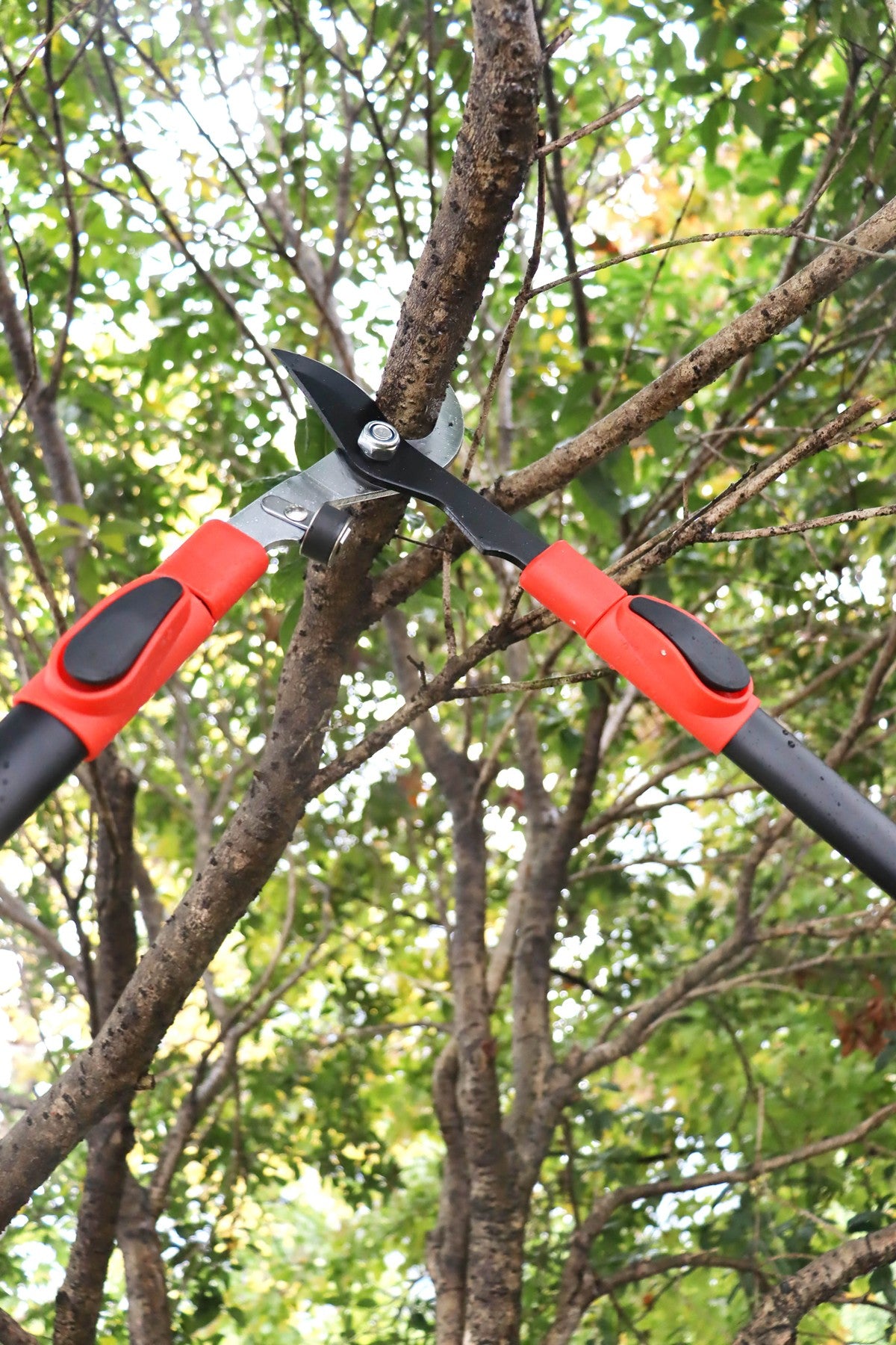 Hilka Heavy Duty Telescopic Bypass Loppers 92105603