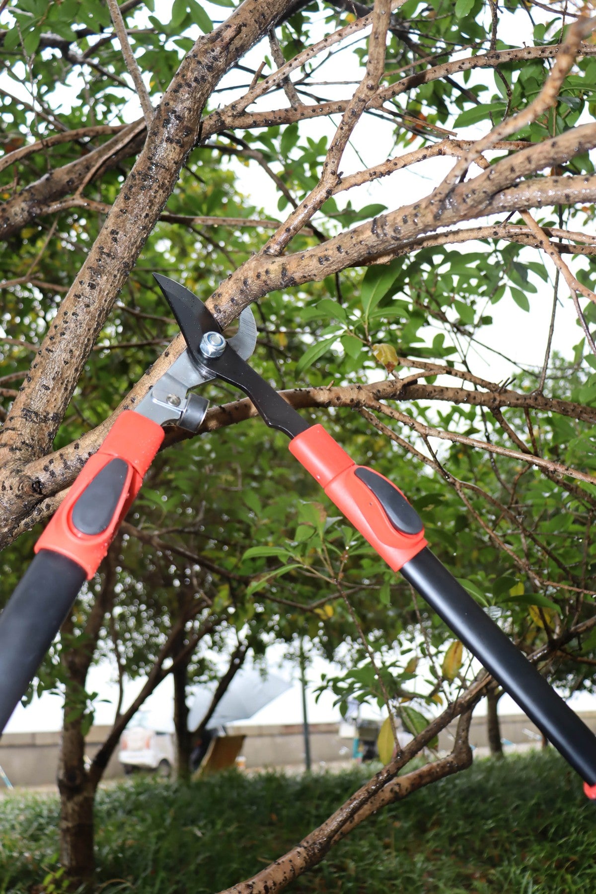 Hilka Heavy Duty Telescopic Bypass Loppers 92105603