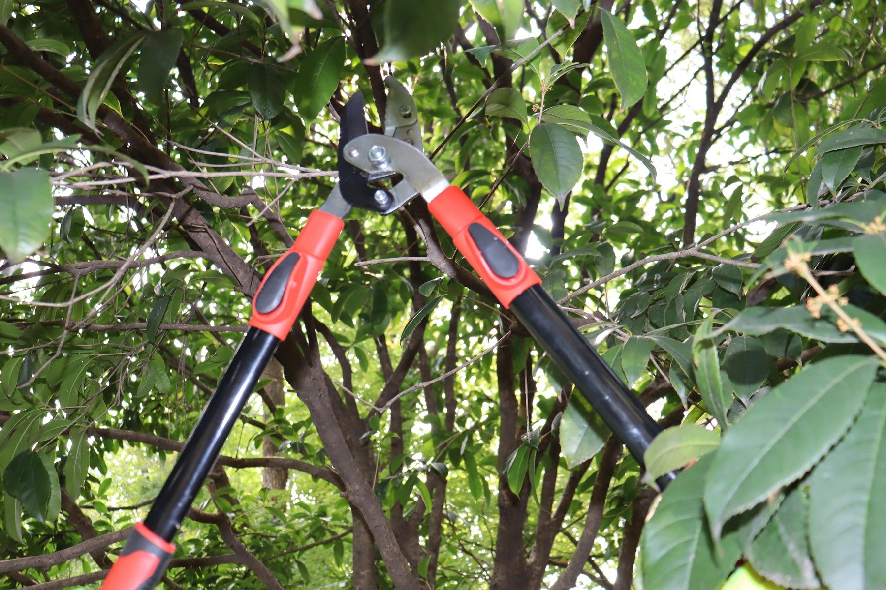 Hilka Heavy Duty Telescopic Anvil Loppers 92105609