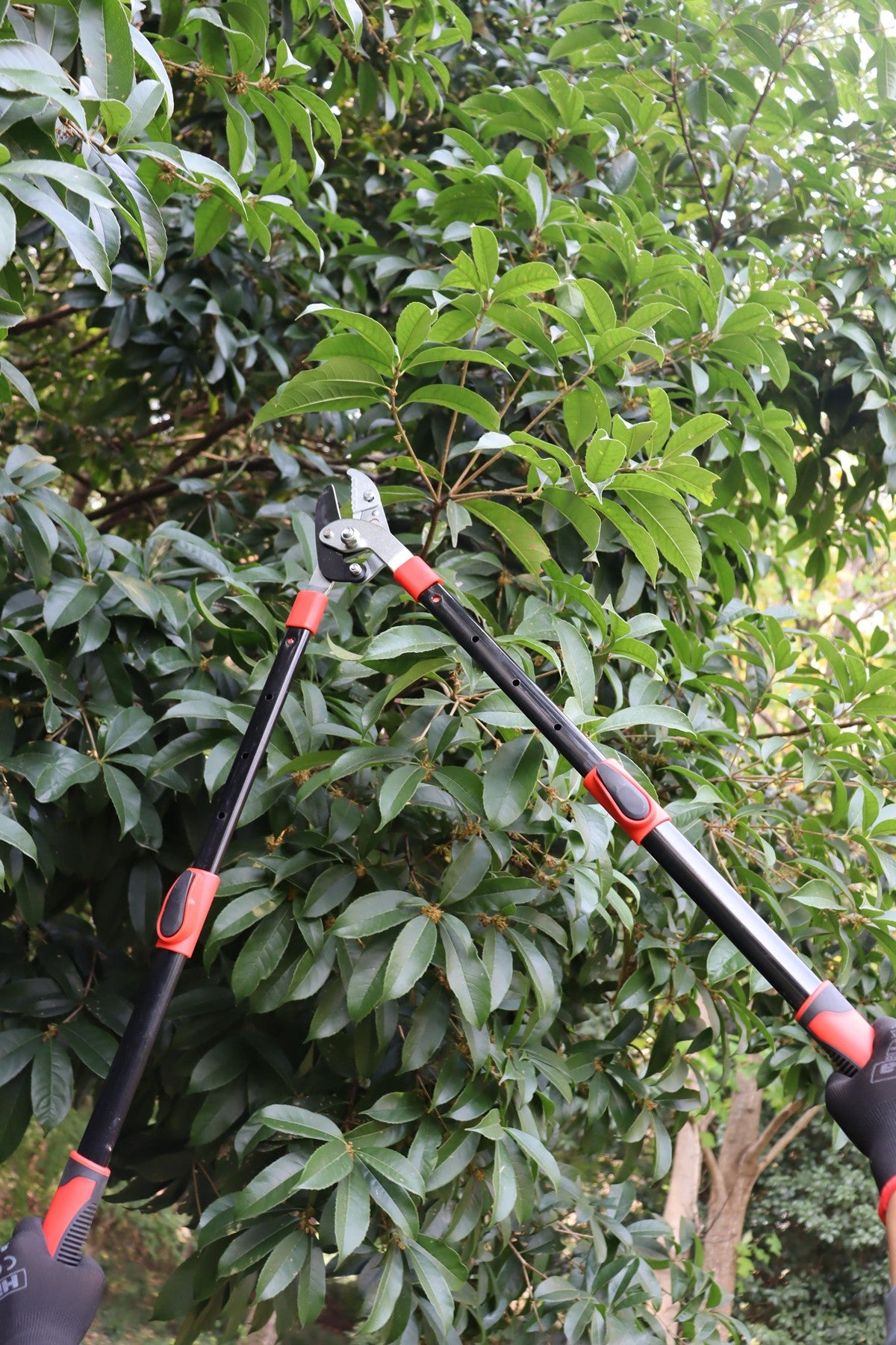 Hilka Heavy Duty Telescopic Anvil Loppers 92105609