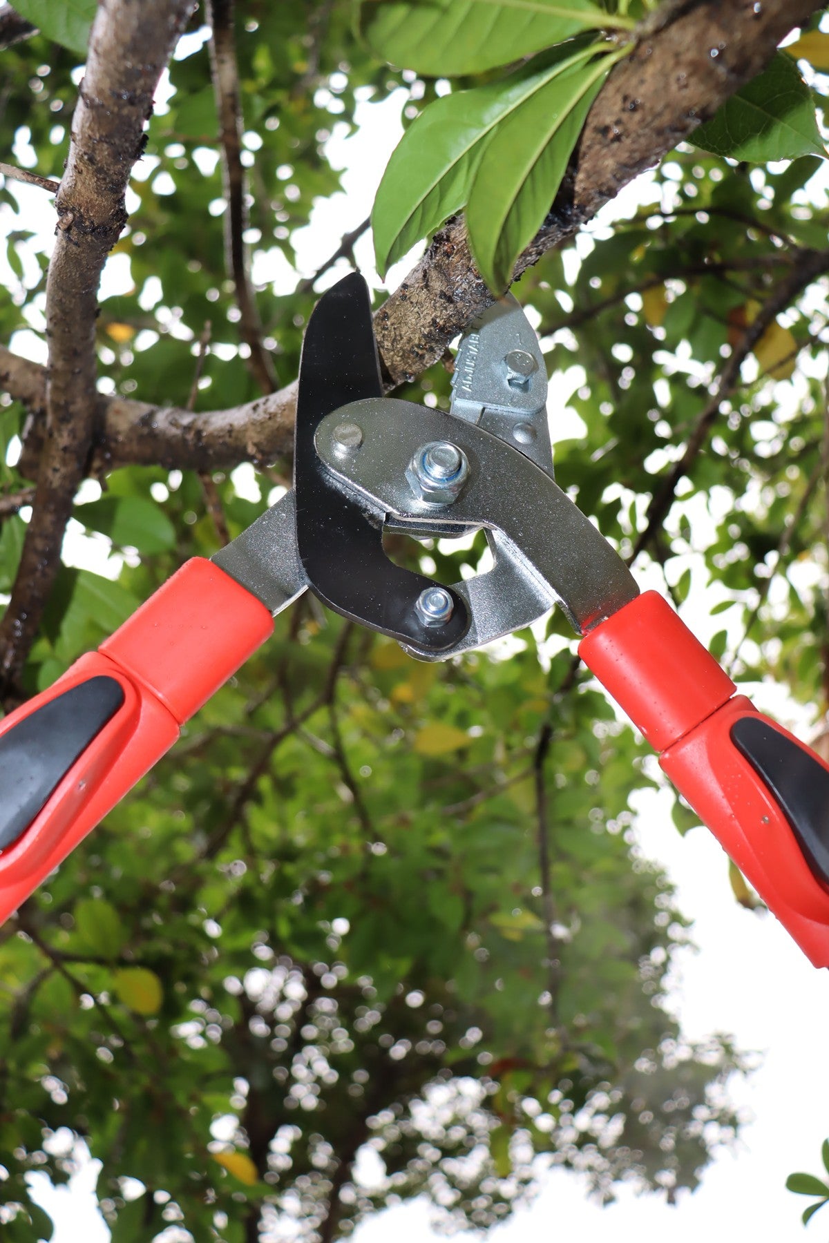 Hilka Heavy Duty Telescopic Anvil Loppers 92105609
