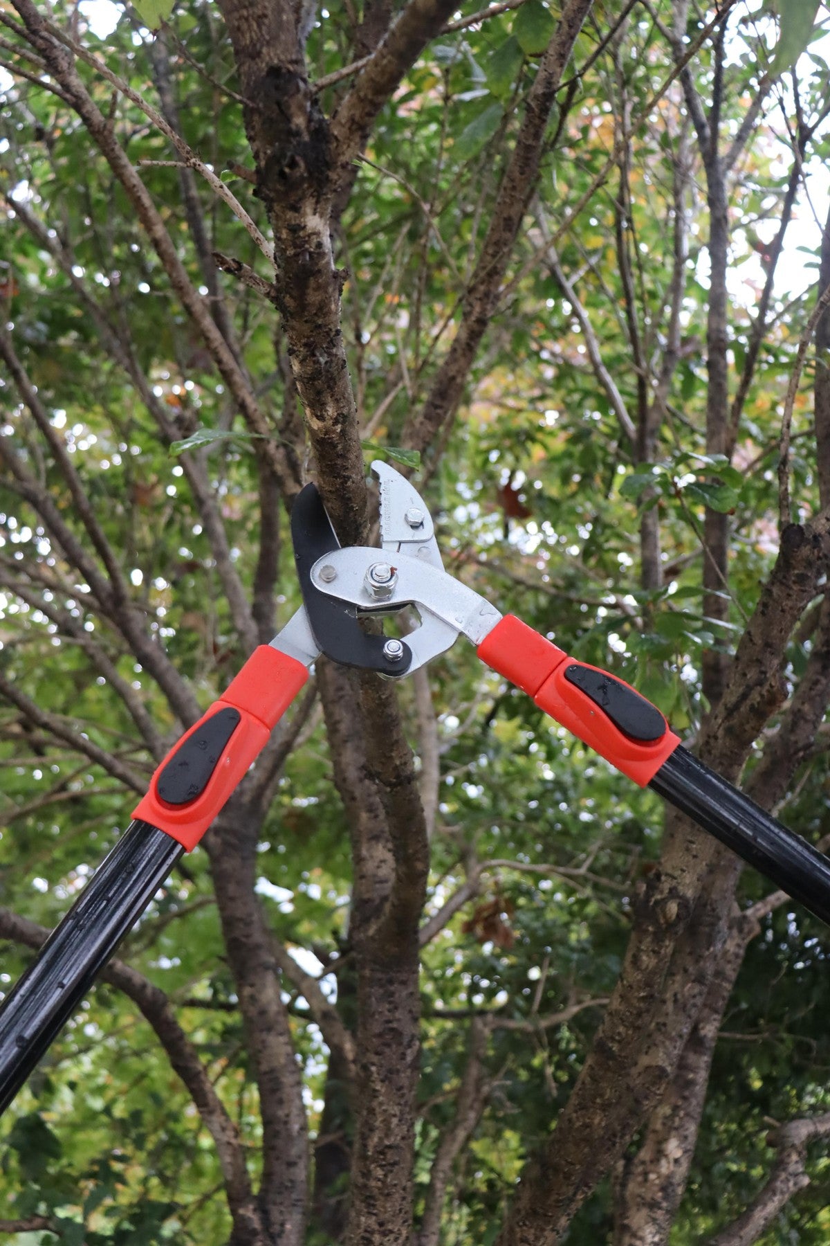 Hilka Heavy Duty Telescopic Anvil Loppers 92105609