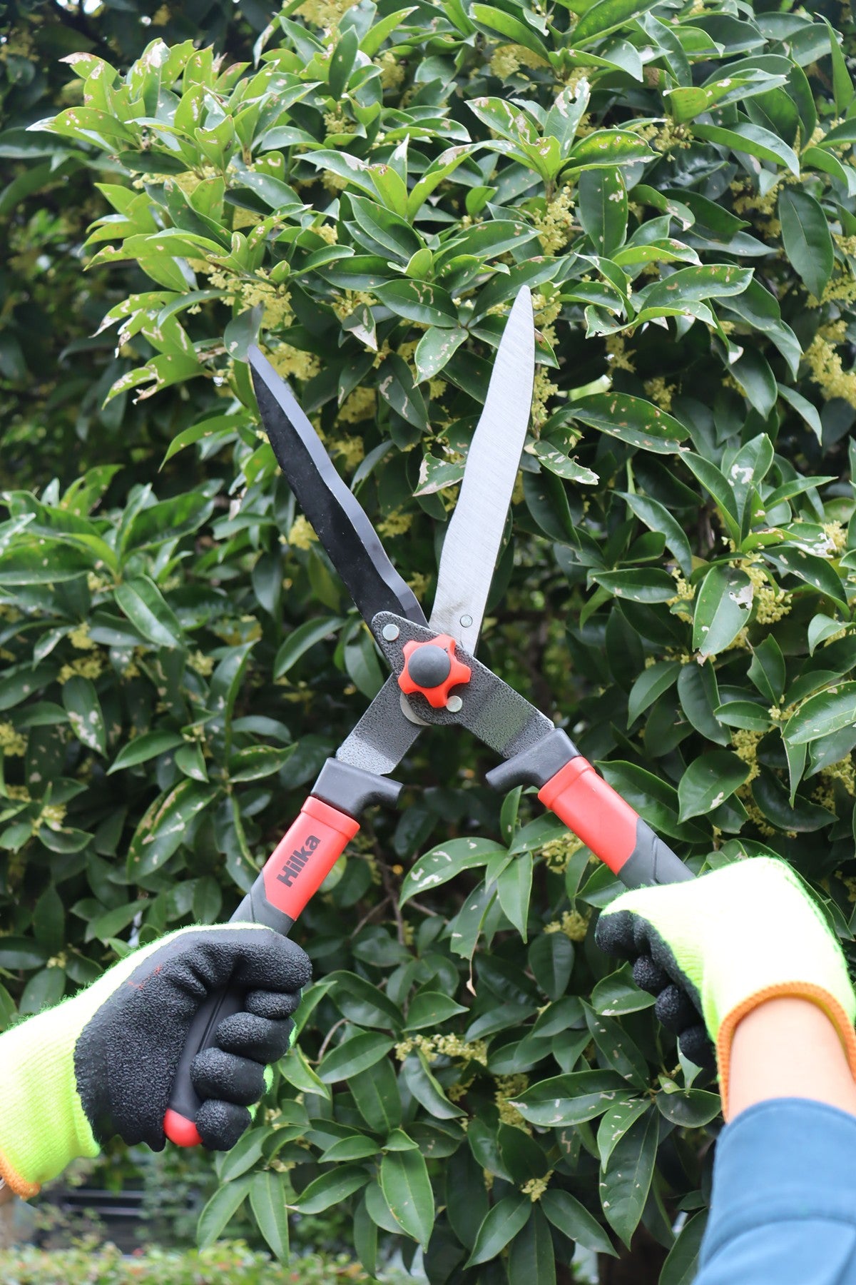 Hilka Wishbone Handle Hedge Shears 92105706