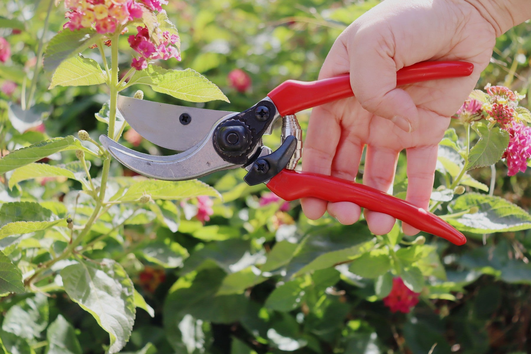 Hilka 3 pce Lopper, Shears and Secateurs Set 92105753