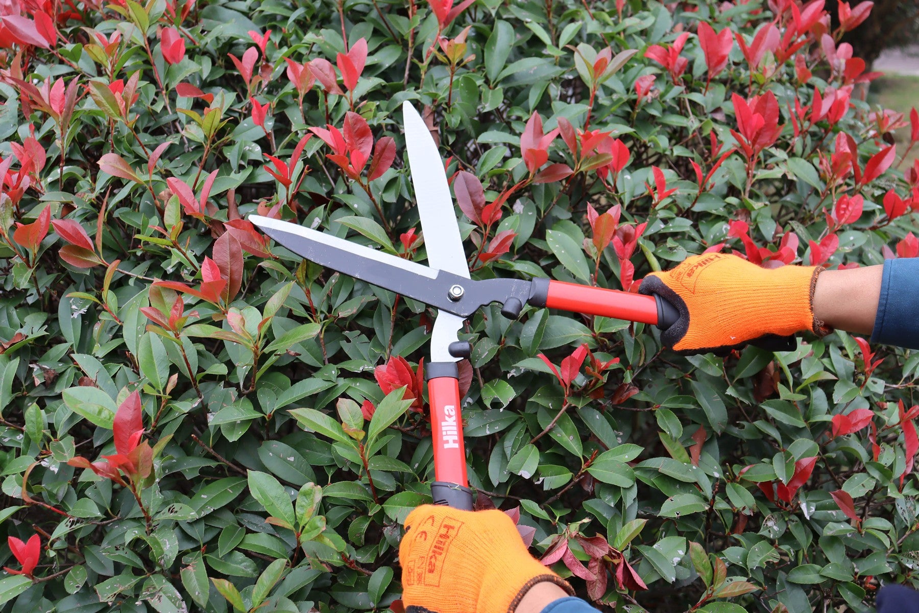 Hilka 3 pce Lopper, Shears and Secateurs Set 92105753