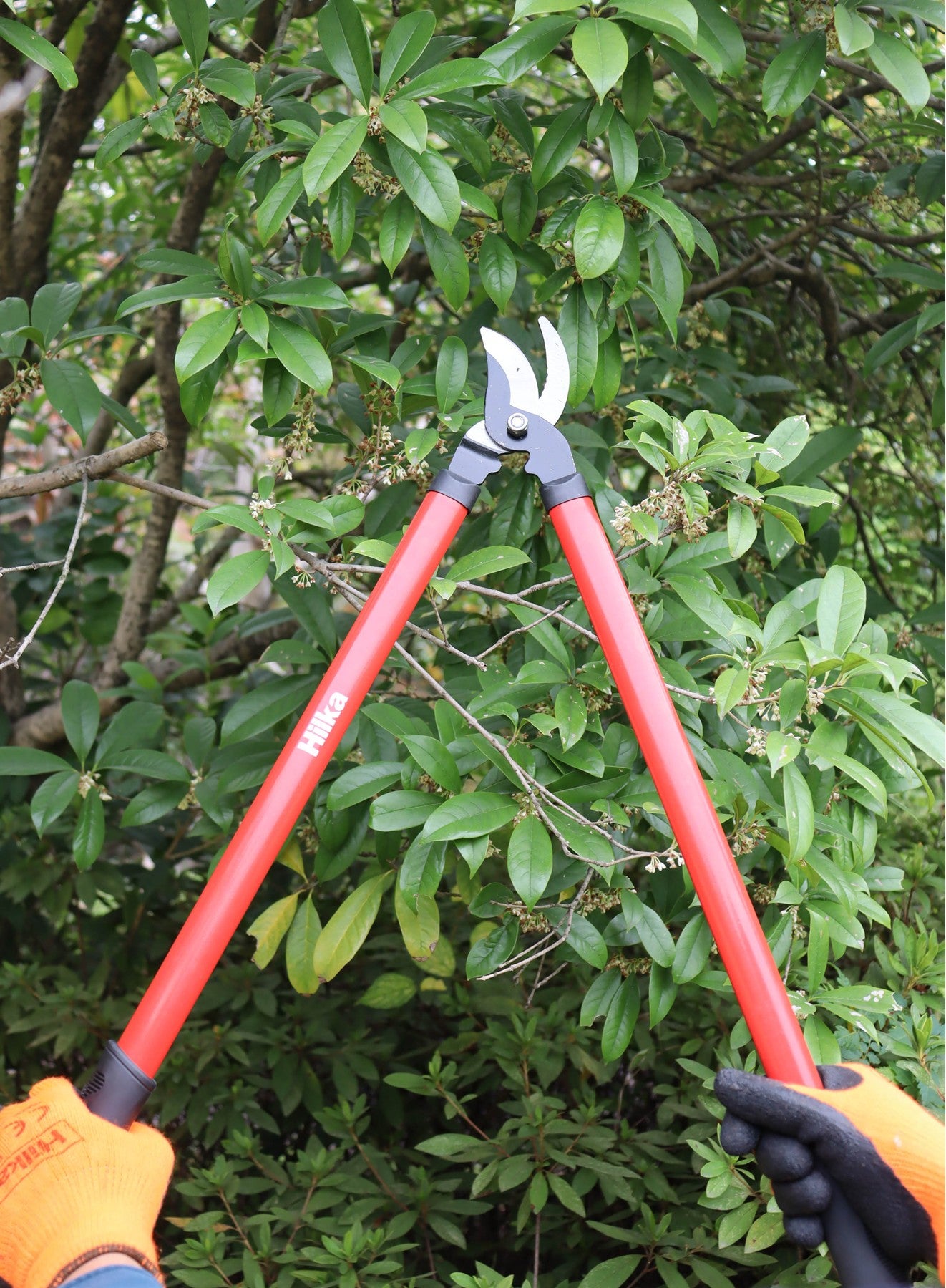 Hilka 3 pce Lopper, Shears and Secateurs Set 92105753