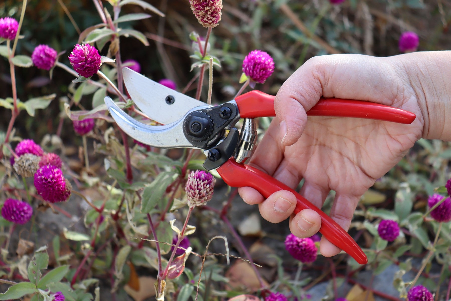 Hilka 3 pce Lopper, Shears and Secateurs Set 92105753