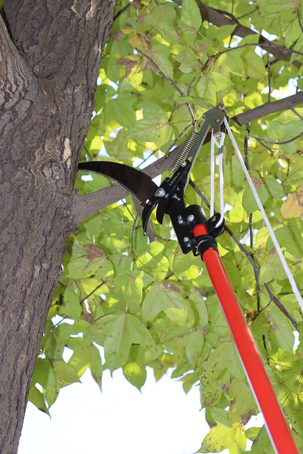 Hilka 2.7m Telescopic Tree Pruner 92105805