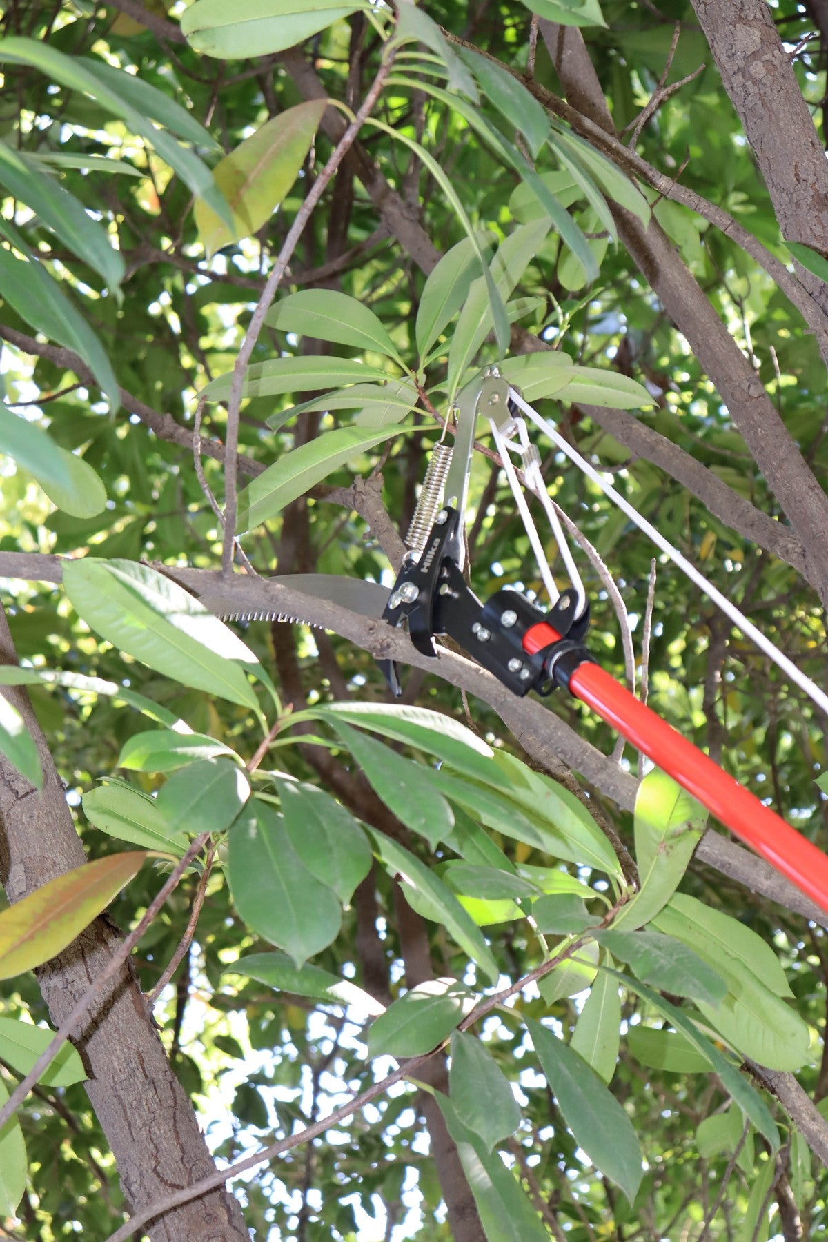 Hilka 2.7m Telescopic Tree Pruner 92105805