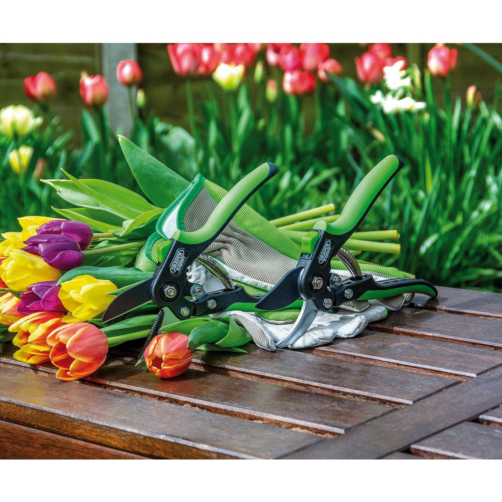 Draper Expert Anvil Pattern Secateurs, 200mm  94983